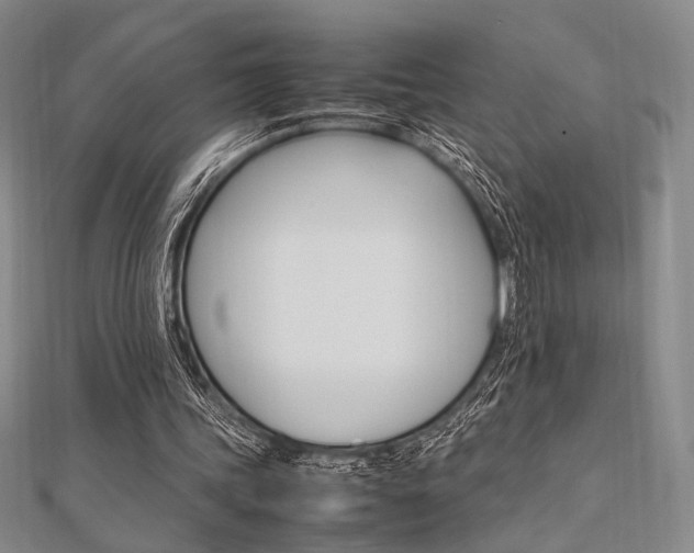 X0000112010339200908031026