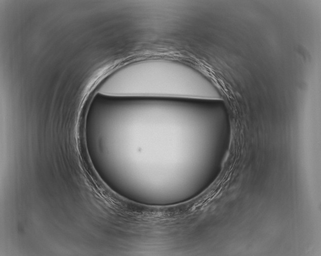 X0000112010340200908031026