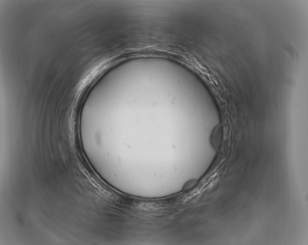 X0000112010341200908031026