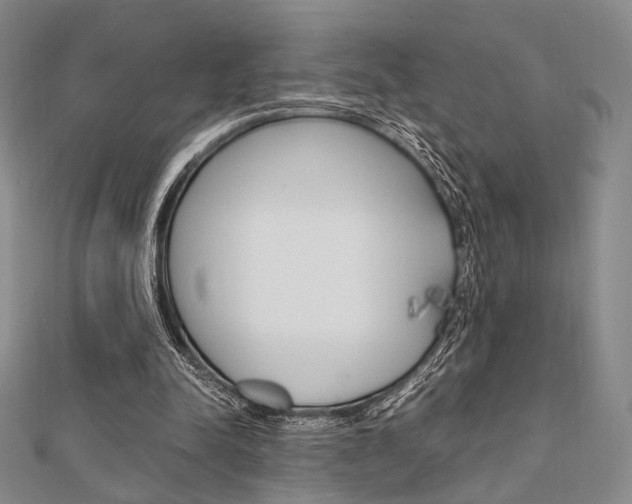X0000112010342200908031026