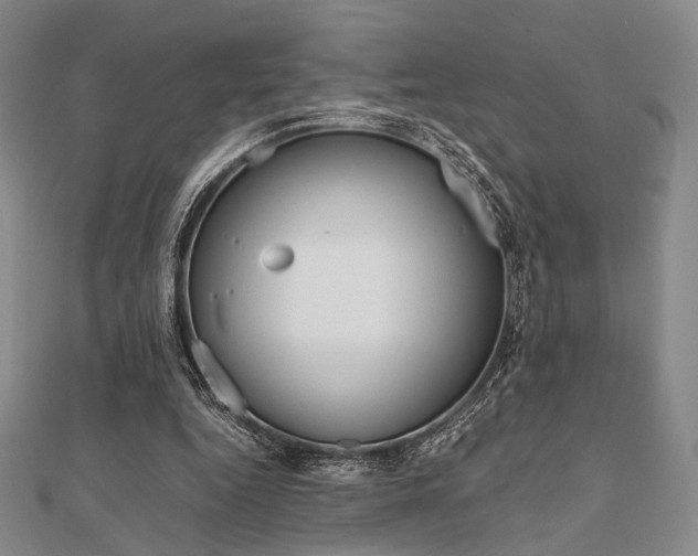 X0000112010344200908031026