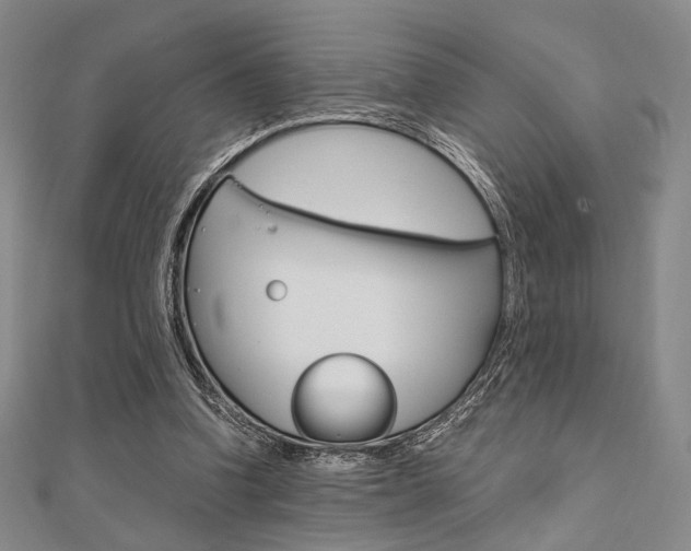 X0000112010346200908031026