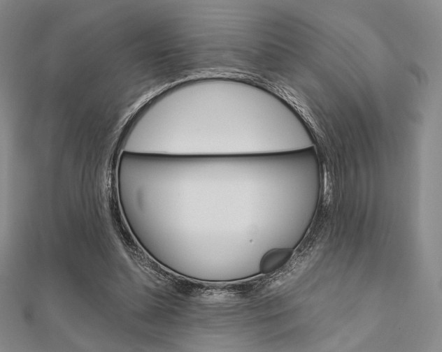 X0000112010348200908031026