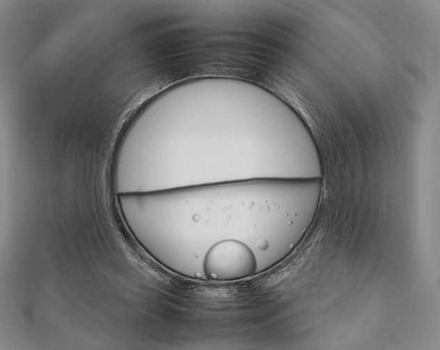 X0000112010349200908031026