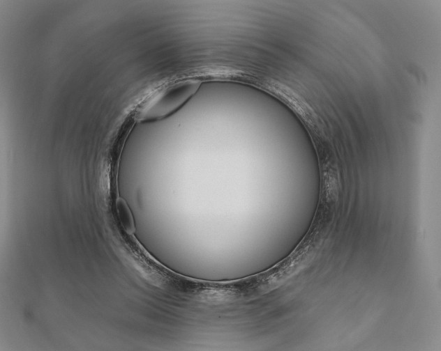 X0000112010350200908031026