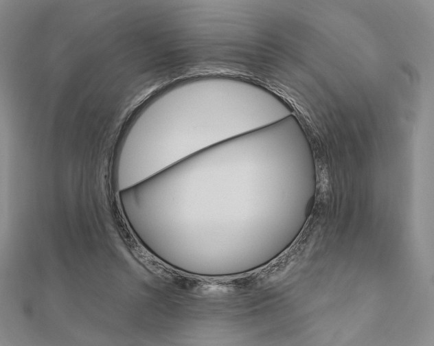 X0000112010352200908031026