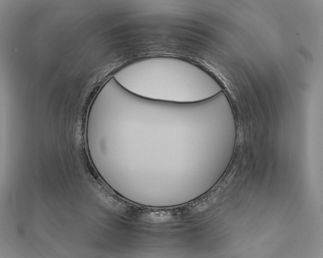 X0000112010353200908031026