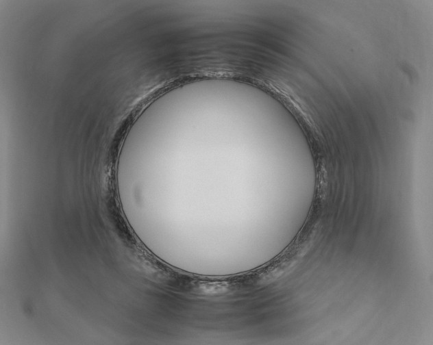 X0000112010355200908031026