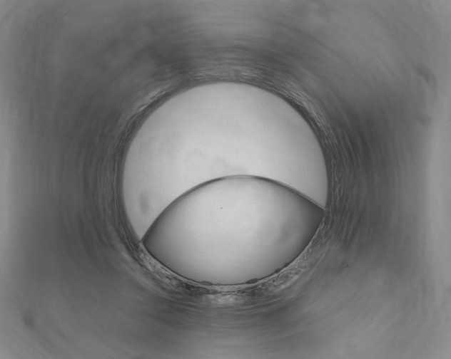 X0000112010356200908031026