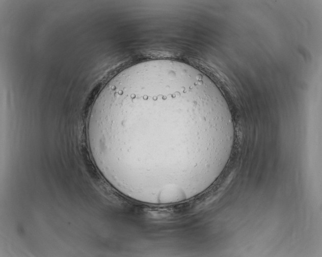 X0000112010359200908031026
