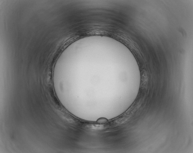 X0000112010361200908031026