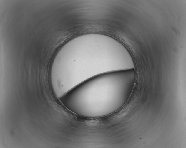 X0000112010362200908031026