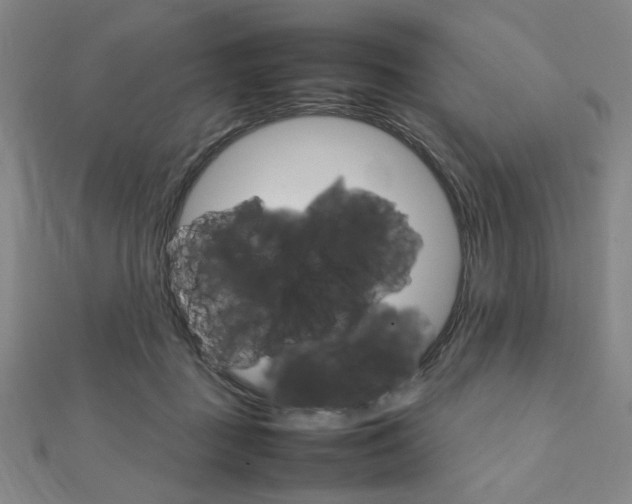 X0000112010363200908031026