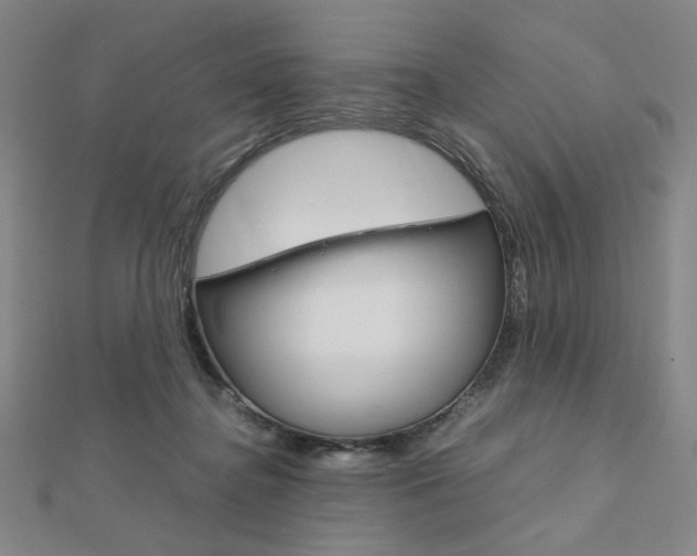 X0000112010364200908031026