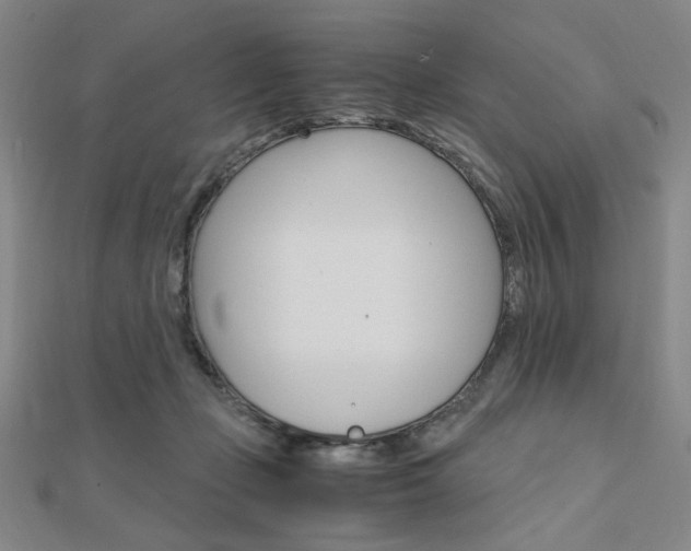 X0000112010365200908031026