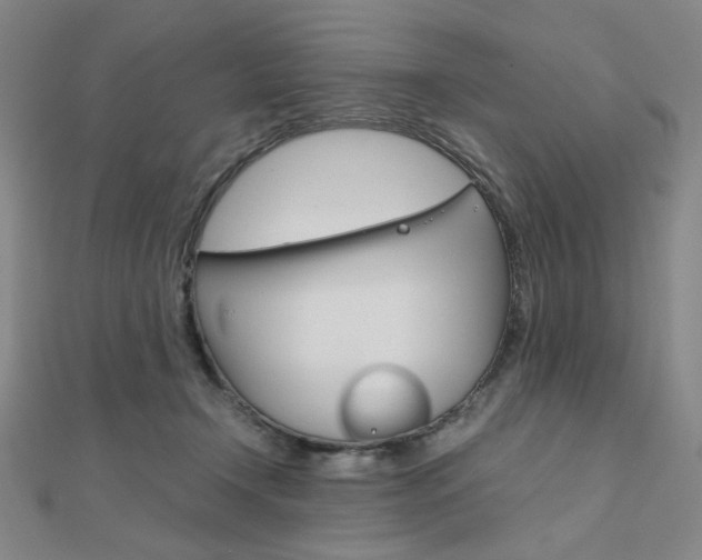 X0000112010366200908031026