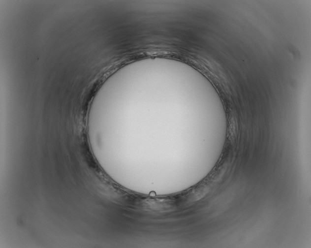 X0000112010367200908031026