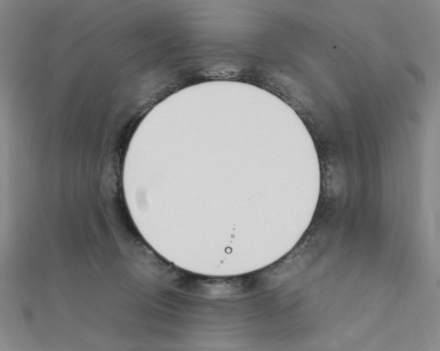 X0000112010370200908031026