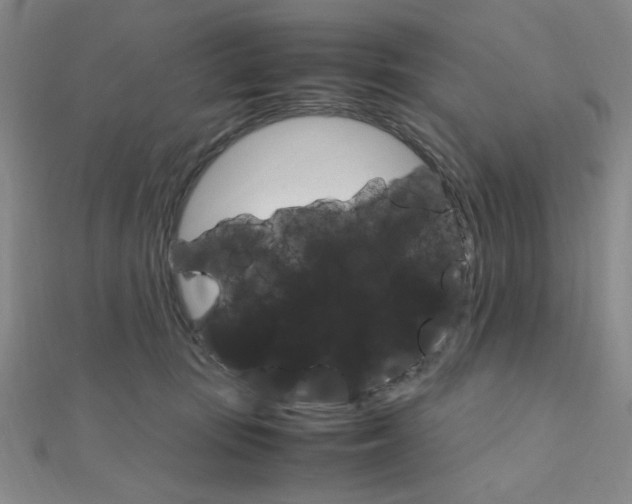 X0000112010371200908031026