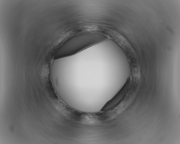 X0000112010372200908031026