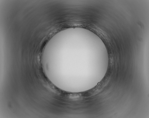 X0000112010373200908031026