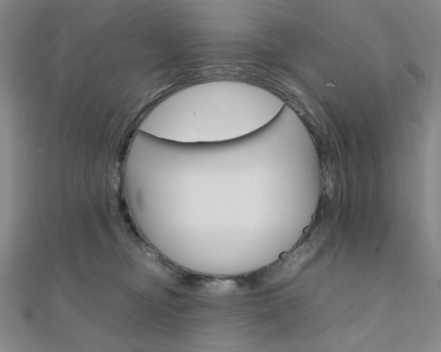 X0000112010374200908031026