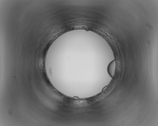 X0000112010375200908031026