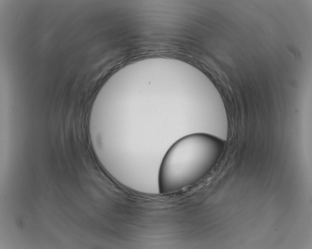 X0000112010376200908031026