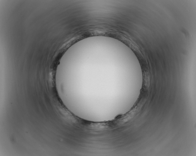 X0000112010378200908031026