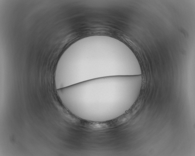 X0000112010379200908031026
