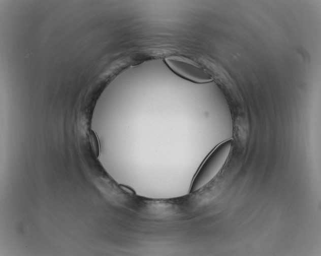 X0000112010380200908031026