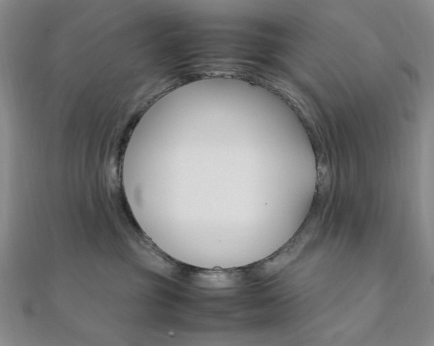 X0000112010381200908031026