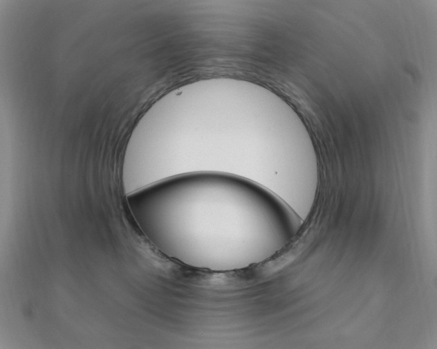 X0000112010382200908031026