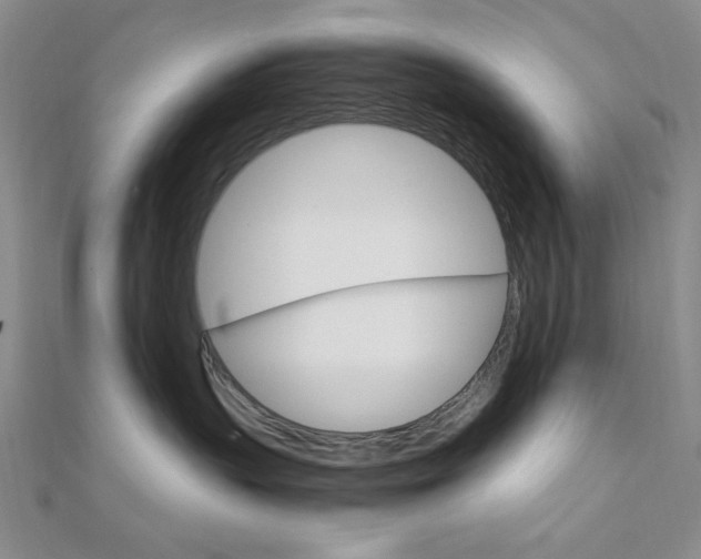 X0000112010383200908031026