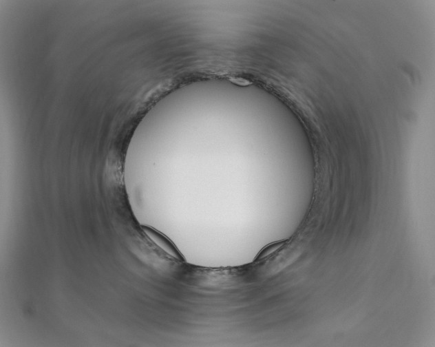 X0000112010384200908031026