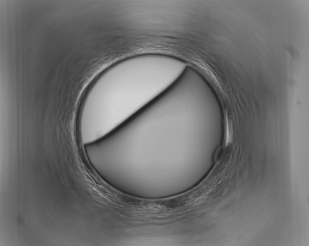 X0000112010387200908031026