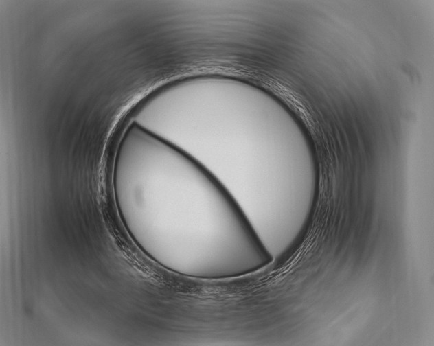 X0000112010388200908031026
