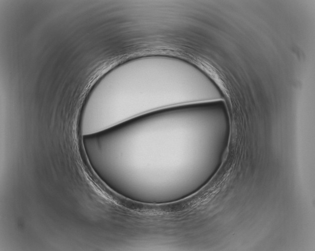 X0000112010389200908031026