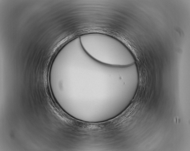 X0000112010390200908031026