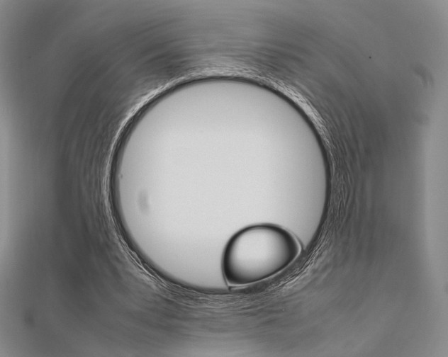 X0000112010391200908031026