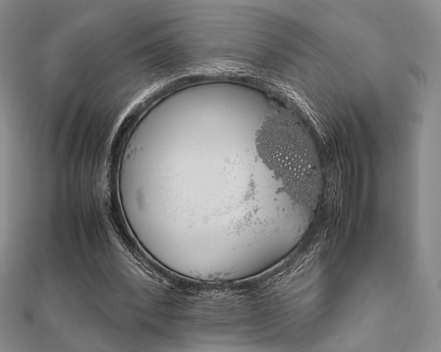 X0000112010392200908031026