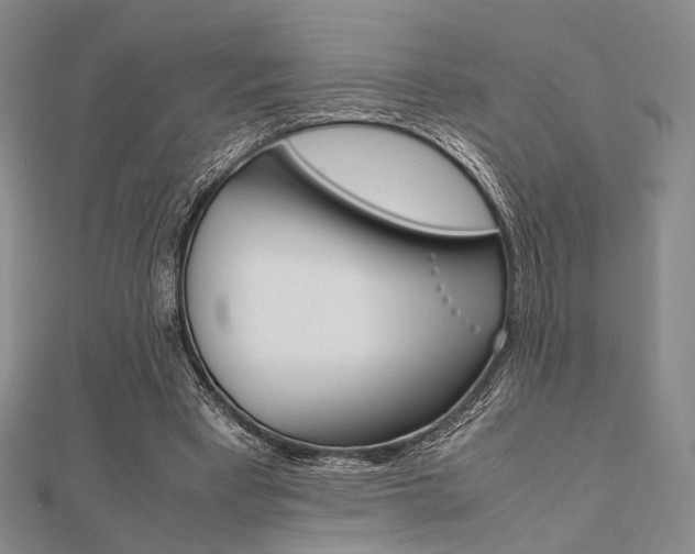 X0000112010393200908031026