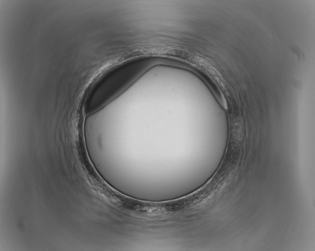 X0000112010395200908031025