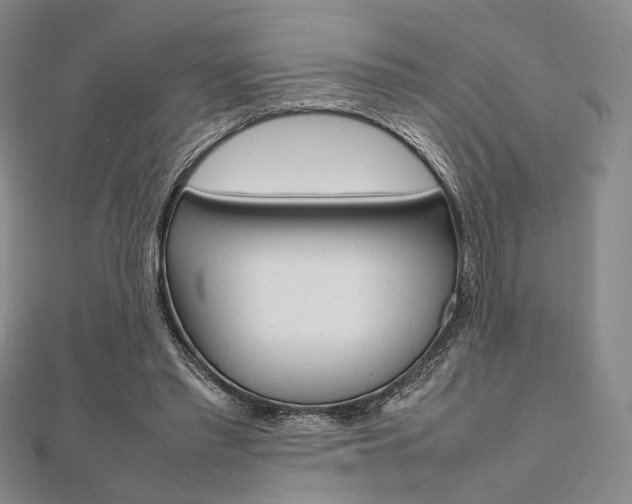 X0000112010397200908031025