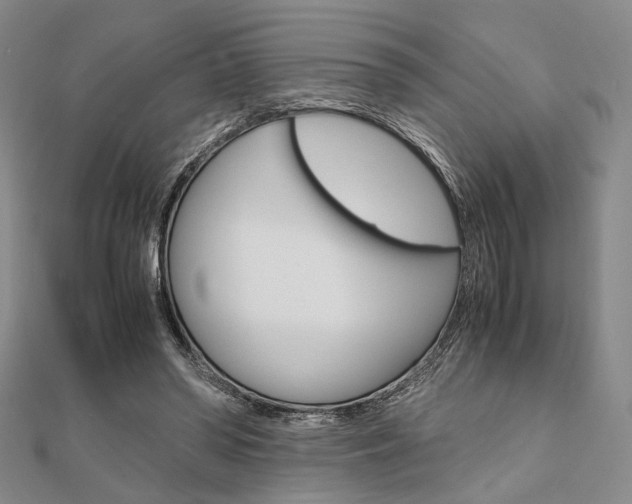 X0000112010398200908031025