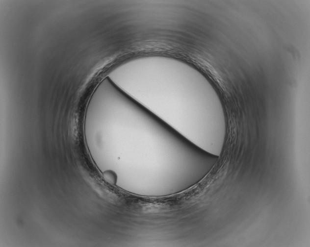 X0000112010400200908031025