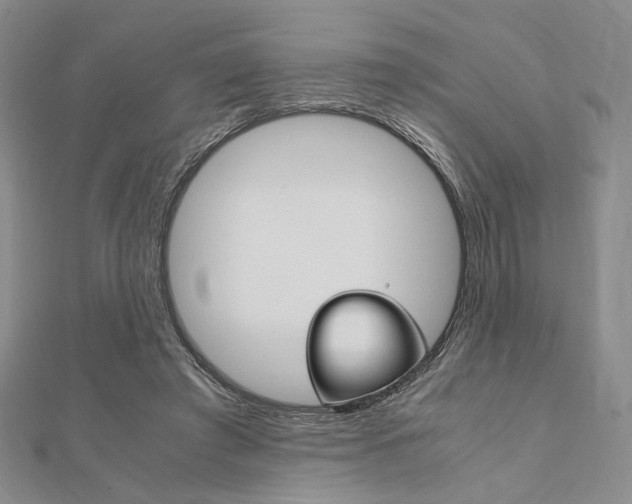 X0000112010401200908031025