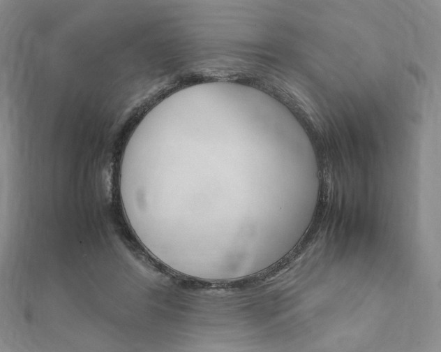 X0000112010404200908031025