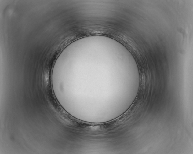X0000112010406200908031025