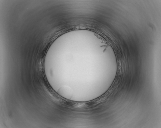X0000112010410200908031025